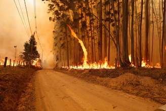 Incêndio atinge o Pico das Cabras, em Campinas