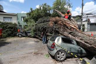 Tempestade derruba árvore sobre carros e obstrui a passagem na Rua Catão no bairro da Lapa, zona oeste.