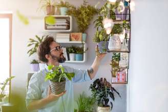 As plantas potencializam a sensação de proteção, cuidado, sorte e prosperidade no lar