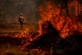 Brigadistas do Distrito Federal combatem incêndio em área de Cerrado próxima ao aeroporto de Brasília.