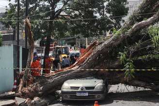 Tempestades que derrubam árvores estão mais comuns na capital paulista. Na foto, queda de árvore sobre carros obstruiu a passagem na R. Catão, no bairro da Lapa, zona oeste, em 11 de outubro.