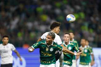 Botafogo e Palmeiras são as equipes com chances de conquistar o título do Brasileirão.