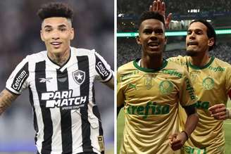 Botafogo e Palmeiras brigam pelo título nacional