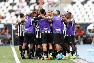 Time do Botafogo comemorando. 