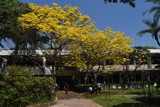 O colégio Santa Cruz é um dos colégios de elite mais tradicionais de São Paulo.