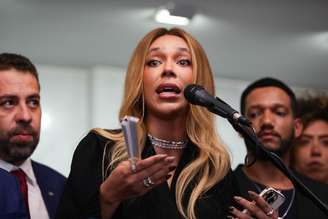Erika Hilton reiterou entendimento do STF, que criminaliza homotransfobia, para justificar ida à Justiça contra Sérgio Maurício.