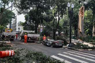 Árvore bicentenária caiu no Largo do Arouche, região central de São Paulo