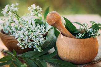 A valeriana é utilizada por seus efeitos relaxantes e calmantes