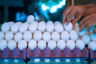 EUA estão sofrendo com a gripe aviária, que já dizimou centenas de milhares de aves, afetando a produção de ovos.