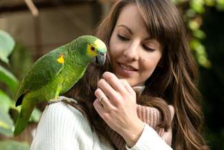 Os papagaios podem reproduzir falas humanas