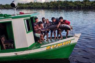 Coletivo Pirarucu envolve comunidades tradicionais na proteção do peixe amazônico.