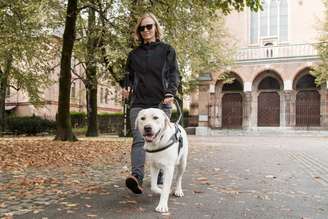 Os cães-guia precisam estar em plenas condições físicas e mentais para desempenhar sua função com segurança e eficiência