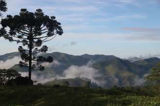 São Francisco Xavier, distrito de São José dos Campos 
