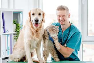 Os check-ups regulares permitem que a equipe veterinária identifique mudanças sutis e aja precocemente