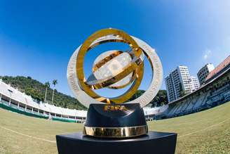Taça da Copa do Mundo de Clubes (FOTOS: LUCAS MERÇON / FLUMINENSE F.C.)