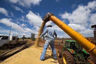 Indicador da agropecuária acumula alta de 12,09% nos 12 meses até abril, segundo o BC