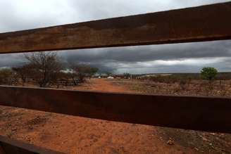 Renda digna no campo está ameaçada pela degradação do bioma da caatinga, diz a Fundação IDH