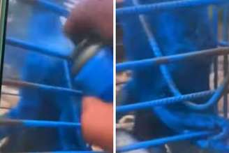 Em um vídeo feito pelo criminoso, ele aparece jogando tinta spray no animal. Ele foi detido e liberado