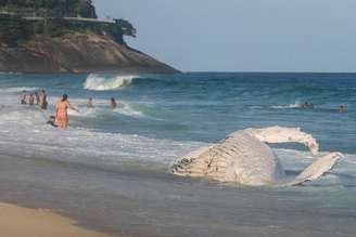 Baleia-jubarte morta aparece morta na praia de São Conrado, no Rio.