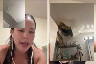 Teto desaba em apartamento de Nova York e libera "milhares de baratas"