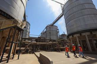 Além do etanol, a Inpasa, a maior refinaria de milho da América Latina, produz 1 milhão de toneladas de DDGS, proteína de alto valor agregado