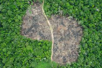 Amazônia perde mais de 500 mil km² de áreas de mata em 40 anos