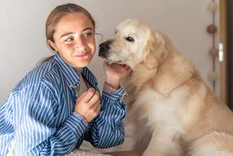 Golden retriever é uma raça de cachorro sociável