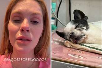 Bárbara Evans relata desespero com Enrico, seu cachorro