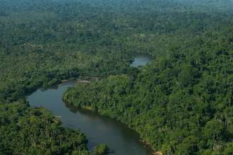 Eliminar o desmatamento ilegal é a principal tarefa do Brasil na corrida para frear o aquecimento do planeta. Na imagem, o Rio Itacaiúnas marca a divisa entre os municípios de Parauapebas e Marabá, na floresta amazônica, no Estado do Pará.