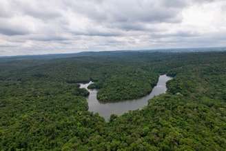 Floresta urbana de mais de 10 mil hectares em Cotia, na grande SP, se tornou parque estadual