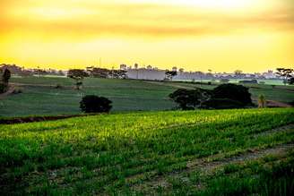 Fundada em 1910, Mirassol combina charme interiorano, festivais culturais e lendas que encantam moradores e visitantes – Wikimedia Commons/Eduardo Lollato Antonio
