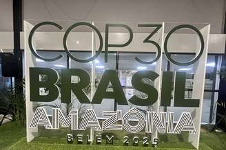 Pichetto afirmou que liderança está trabalhando incansavelmente