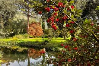 Giardino di Ninfa está localizado na província de Latina