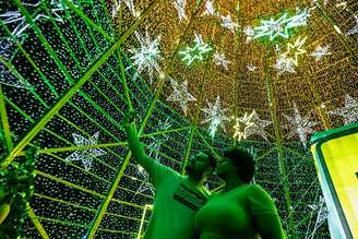 Visitantes também podem ver a árvore do Ibirapuera por dentro