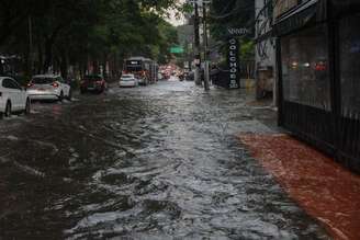 Chuva provoca alagamento no Ibirapuera.