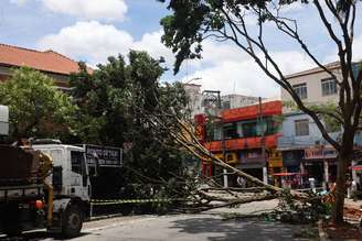 Uma árvore de grande porte caiu na Praça da Árvore, na zona sul da cidade de São Paulo (SP), nesta manhã de quarta-feira, 10 de dezembro de 2025. 