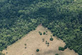 Um dos legados esperados do projeto é a criação de um banco de solos para novas pesquisas