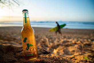 Parceria promete preservação de praias históricas do surfe brasileiro