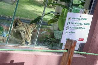 Parque da Bica estava fechado desde o final de novembro