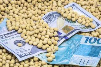 SNAG11, Fiagro de crédito agrícola sob gestão da Suno Asset, anunciou seu maior patamar de dividendos em três anos de atuação