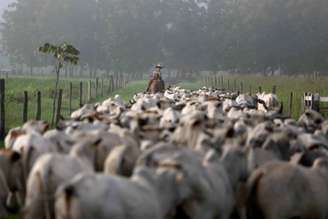 Gado na cidade de Tailândia, no Pará. REUTERS/Pilar Olivares/File Photo