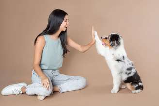 Estimular a inteligência dos cães é cuidar da mente, das emoções e da relação entre humano e animal