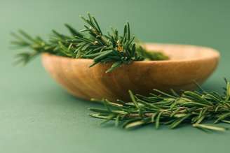 O alecrim é rico em propriedades essenciais para a saúde do organismo