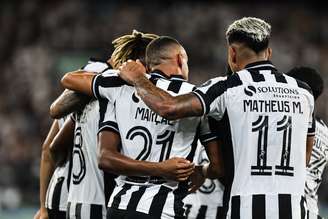 Time do Botafogo comemorando um dos gols da goleada sobre o Cruzeiro 