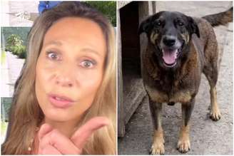 Luísa Mell se revolta com reportagem da TV Globo sobre cão Orelha