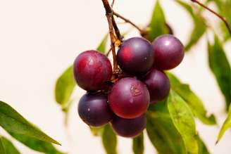 juerginho/Shutterstock