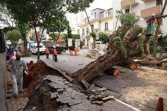 Árvore interditou a Rua Marquês de Itu, em Higienópolis.