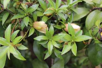 kelly duarte/shutterstock