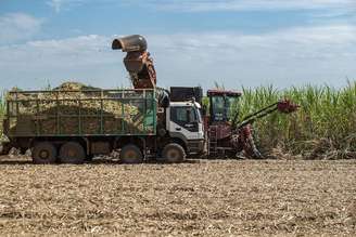 Raízen Biomassa, criada em 2016, atua no desenvolvimento de tecnologia e pellets a partir do bagaço e da palha de cana-de-açúcar