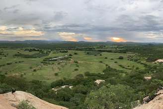Pesquisadores do Laboratório de Mirmecologia do Sertão descobriram novas espécies de insetos no semiárido nordestino, em expedições pela Bahia e Pernambuco.